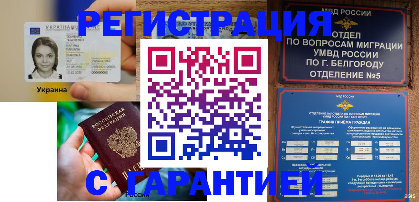 прописка 2025 в Людиново